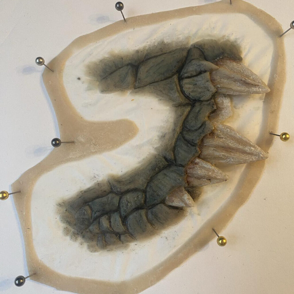 Dragon Scale Prosthetic